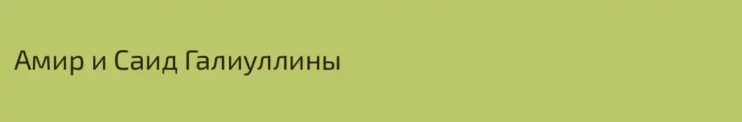 Амир и Саид Галиуллины